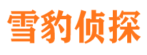 海原市侦探调查公司